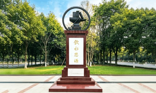 黑山栀别名叫什么-黑山栀的功效与作用网 - 网站提供黑山栀子功效与作用图片小常识、黑山栀是什么中药
